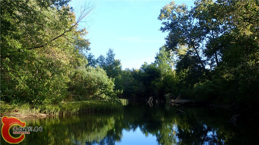 PA040667.jpg