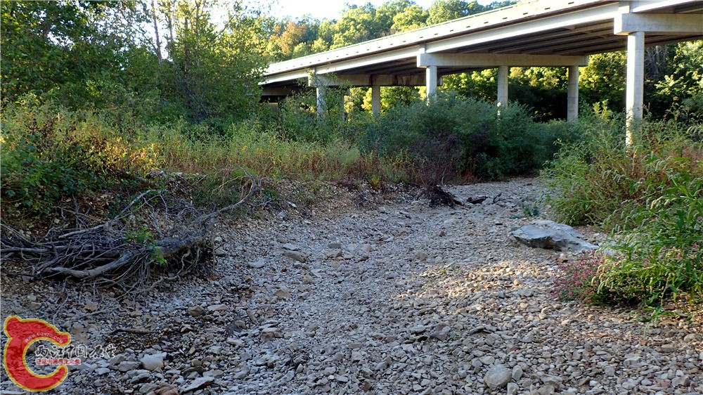 PA040707.jpg