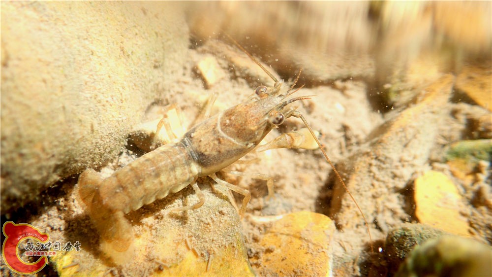 PA040529.jpg