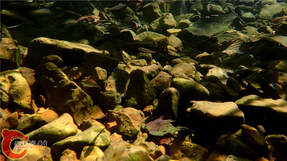 PA040537.jpg