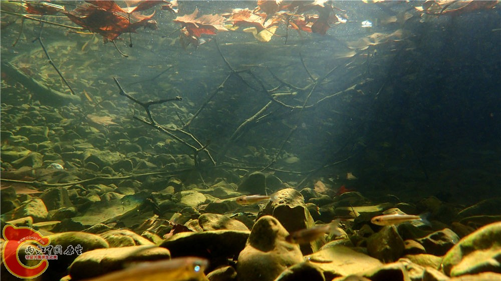 PA040555.jpg