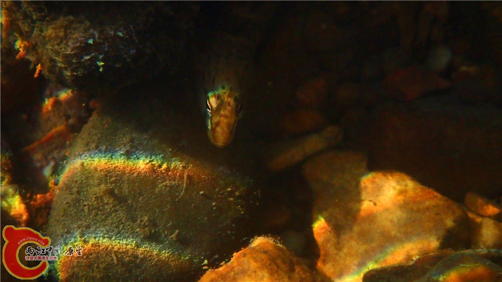 PA040584.jpg