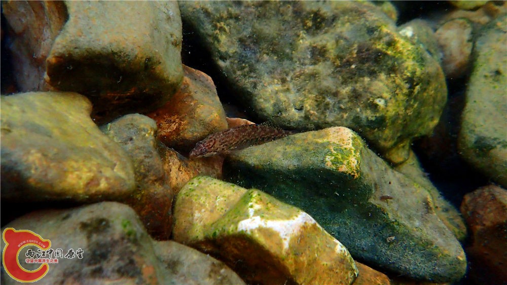 PA040626.jpg