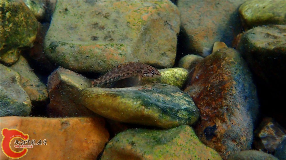 PA040627.jpg