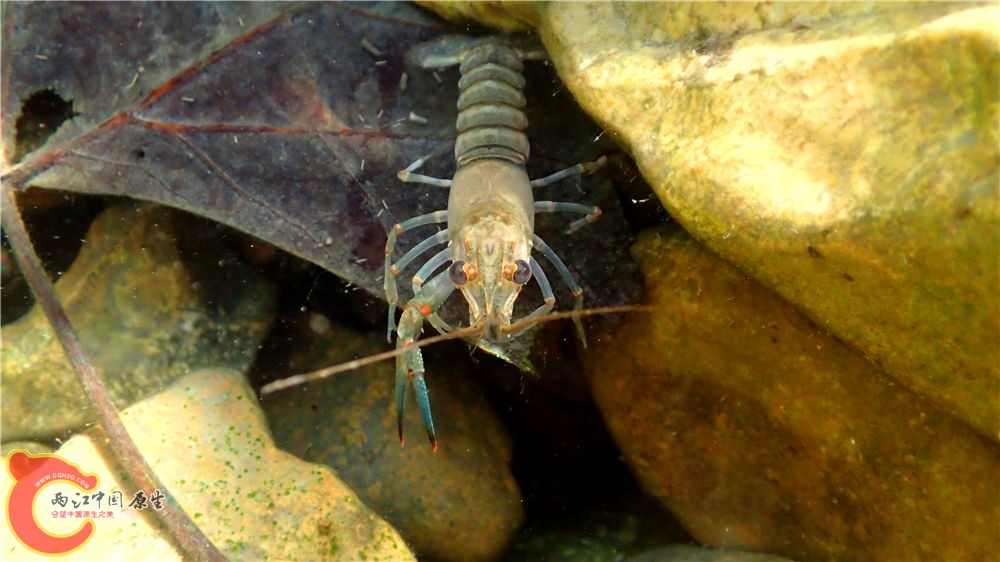 PA040599.jpg