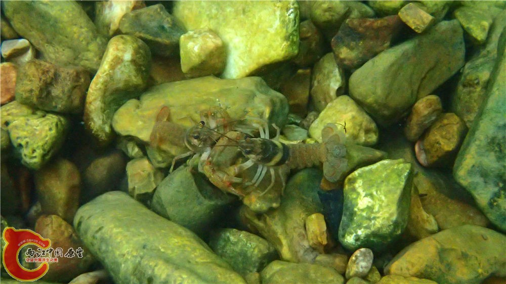 PA040611.jpg