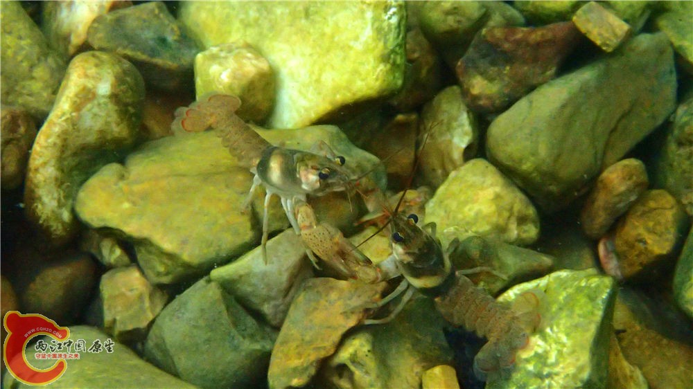 PA040612.jpg