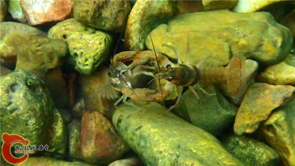 PA040614.jpg