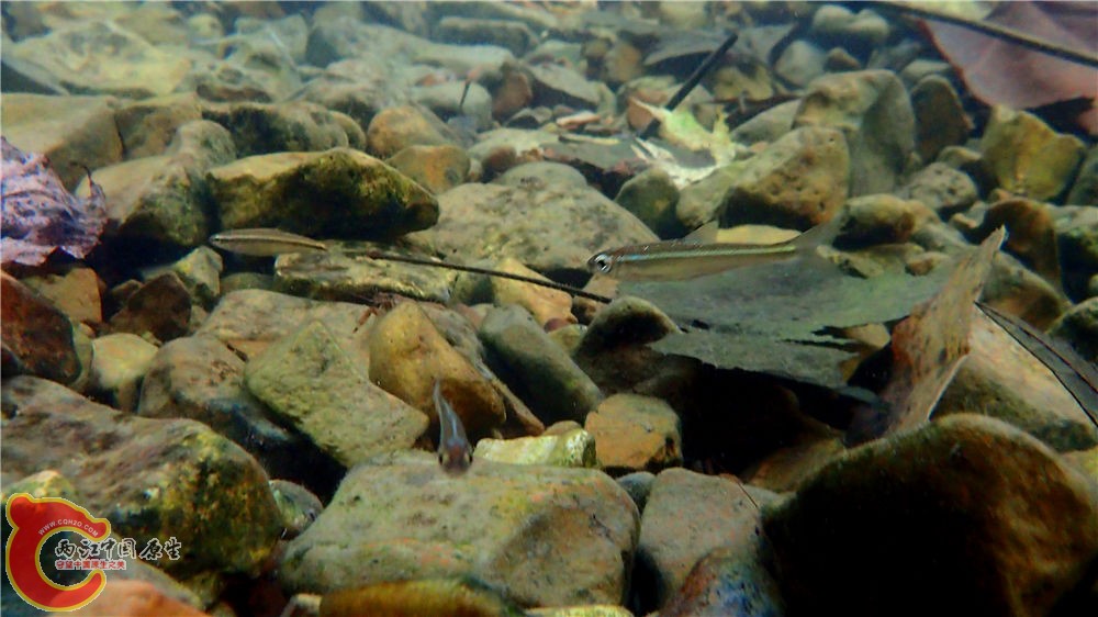 PA040623.jpg