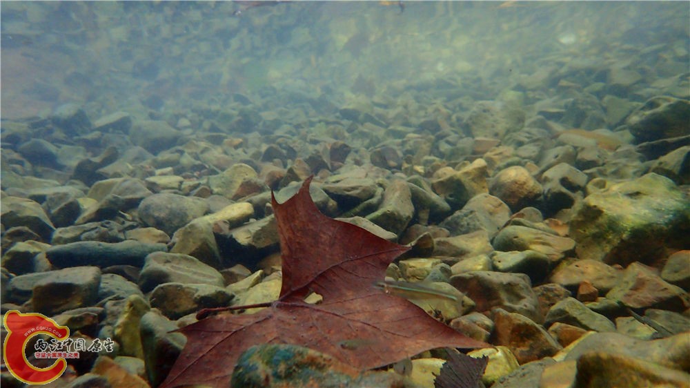 PA040628.jpg