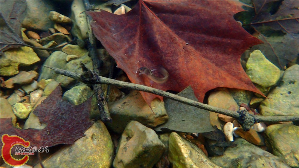 PA040632.jpg