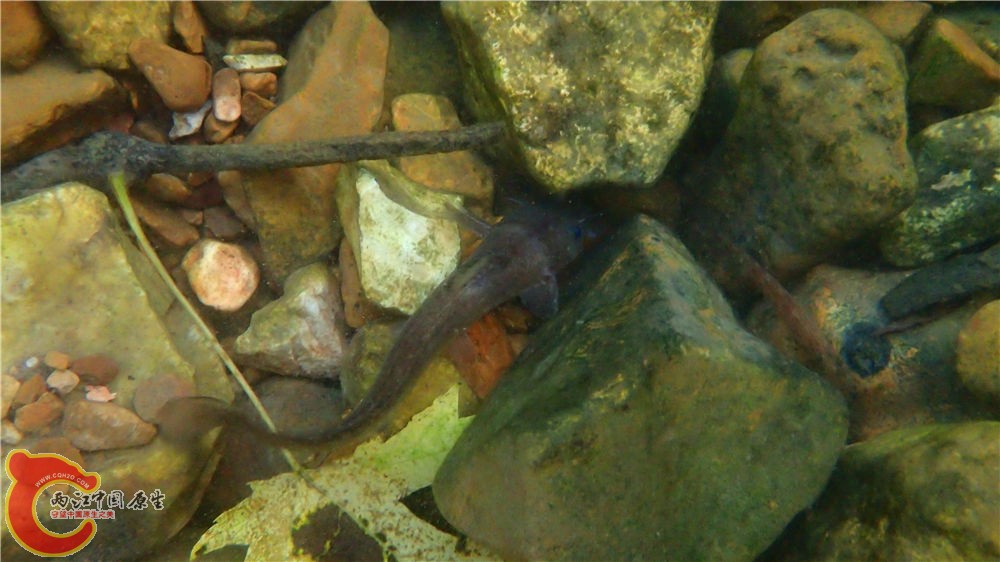 PA040648.jpg