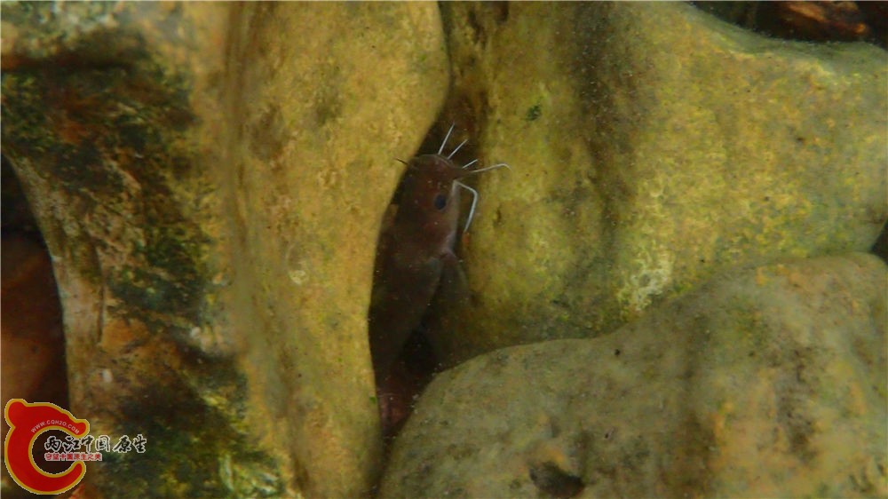 PA040662.jpg