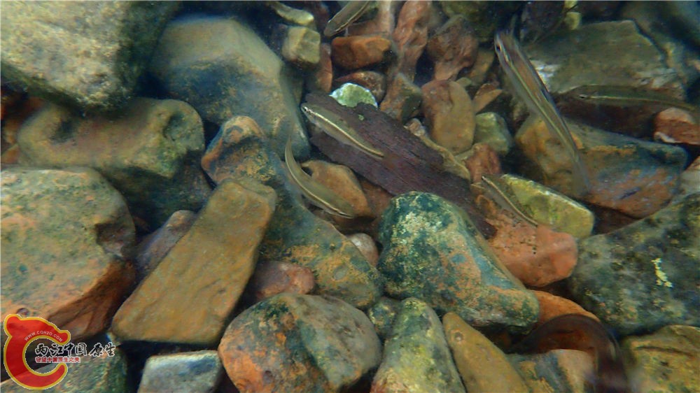 PA040699.jpg