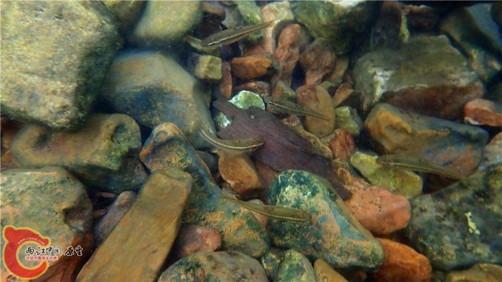 PA040700.jpg