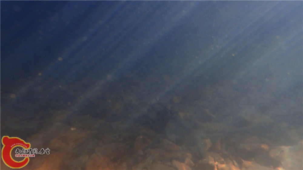 PA040725.jpg