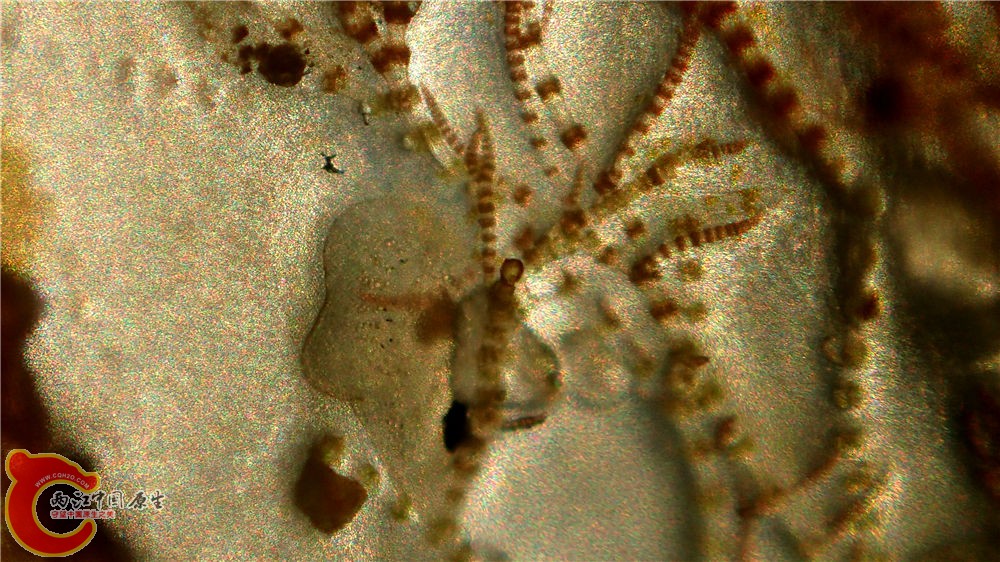 P9130294.jpg