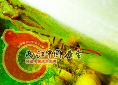 QQ截图20141004194330.jpg