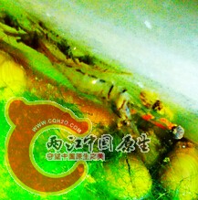 QQ截图20141004194421.jpg