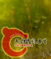 QQ截图20141004194904.jpg