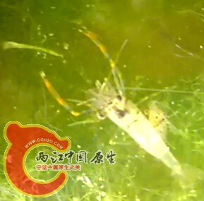 QQ截图20141004195017.jpg