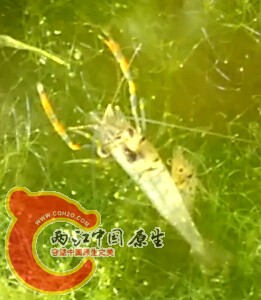 QQ截图20141004195038.jpg