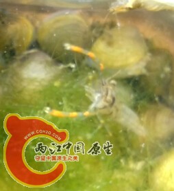 QQ截图20141004195311.jpg