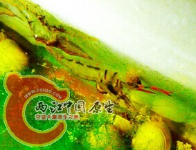 QQ图片20141004194256.jpg