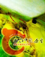 QQ图片20141004194312.jpg