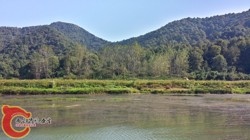 20141004_145219_Richtone(HDR)_副本.jpg