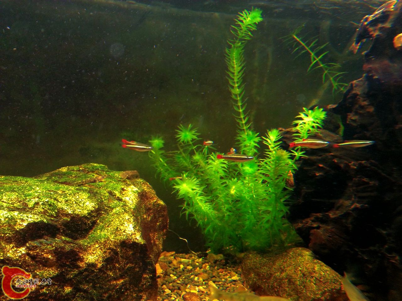 20141008_014356.jpg