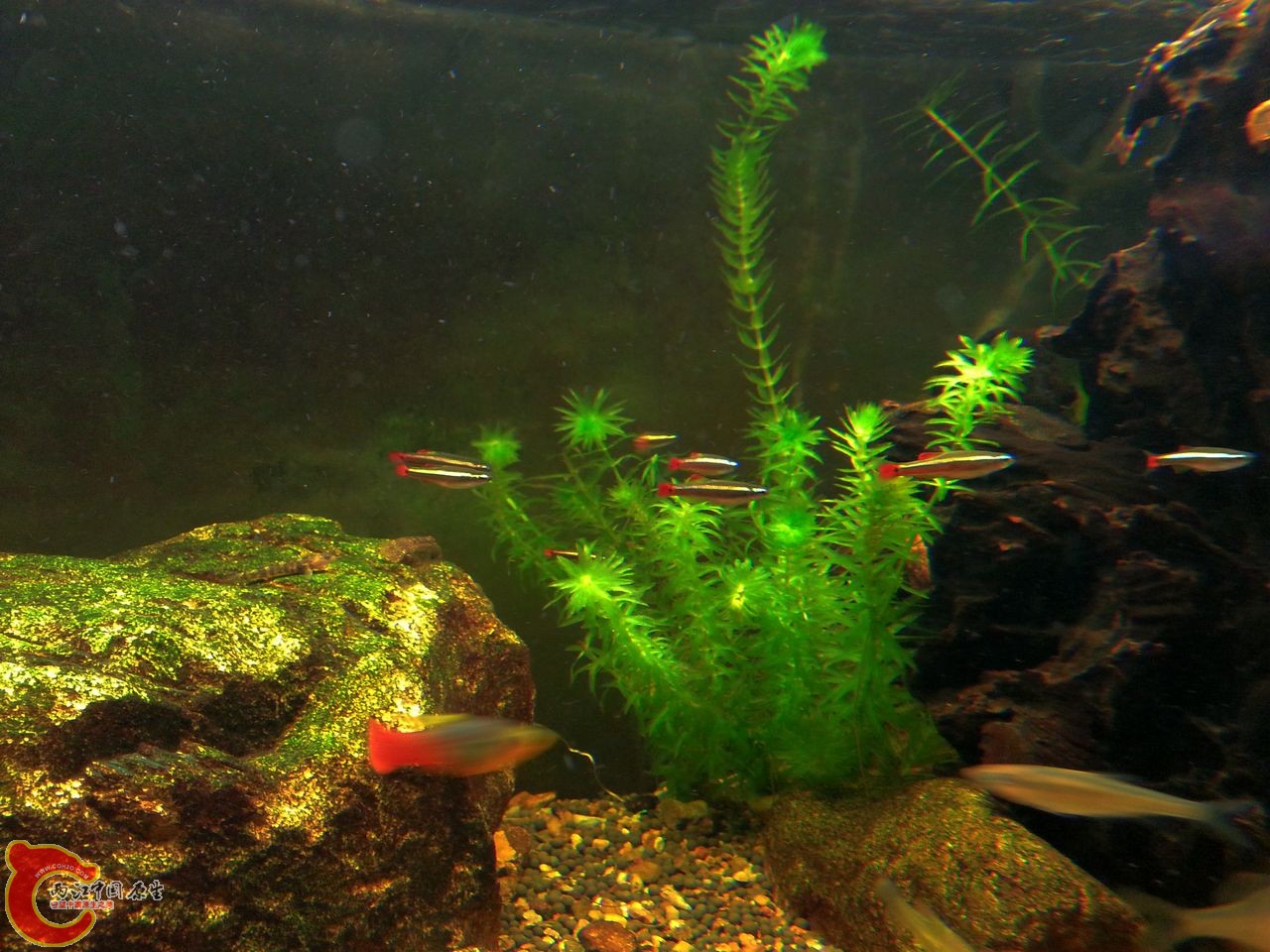 20141008_014357.jpg