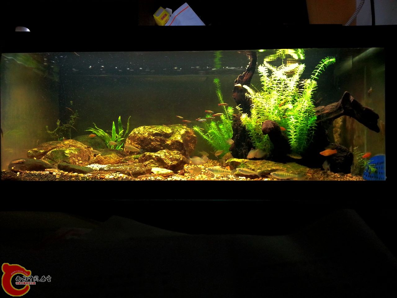 20141008_014237.jpg