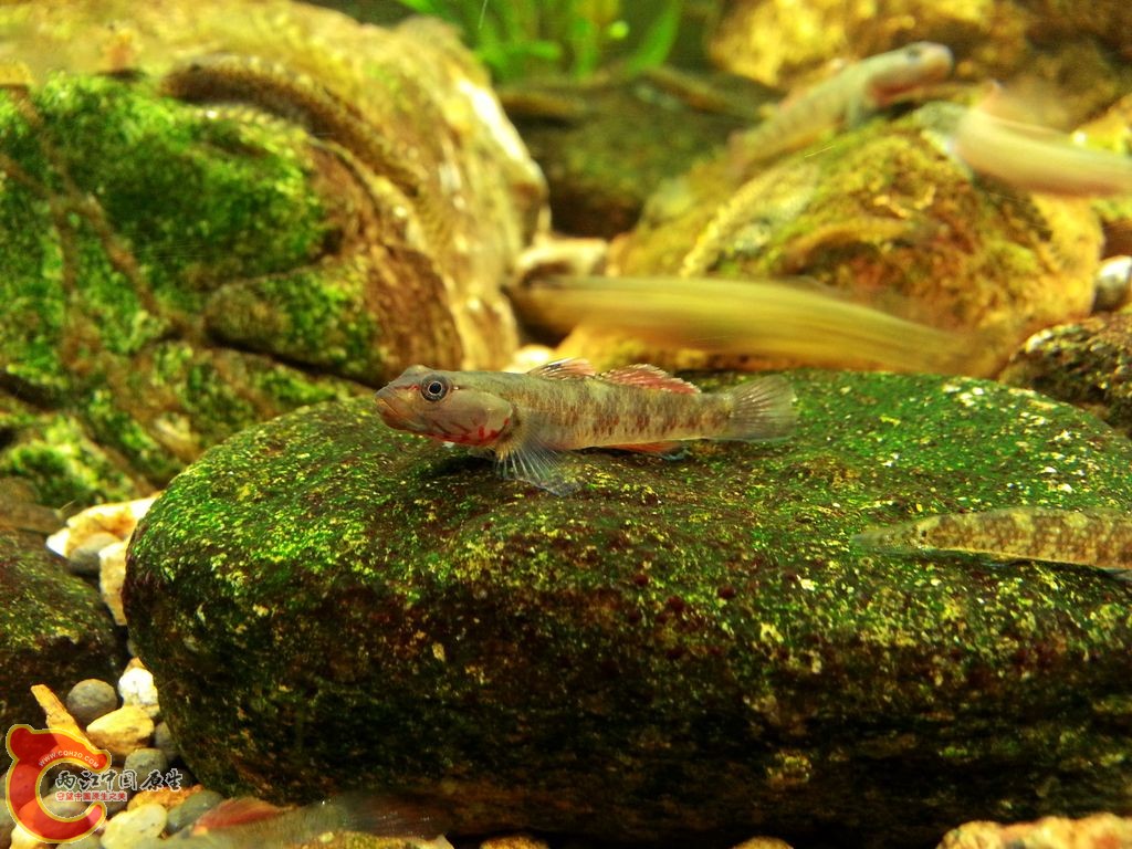 20140914_130609.jpg