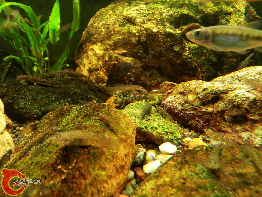 20140914_130653.jpg