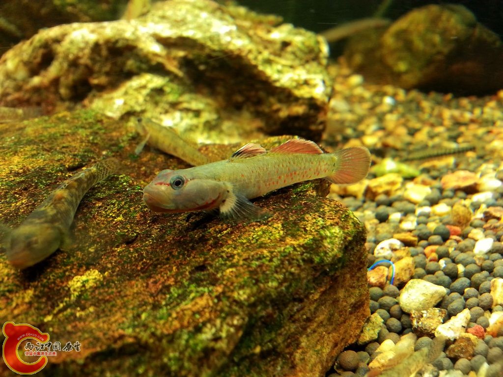 20140914_130708.jpg