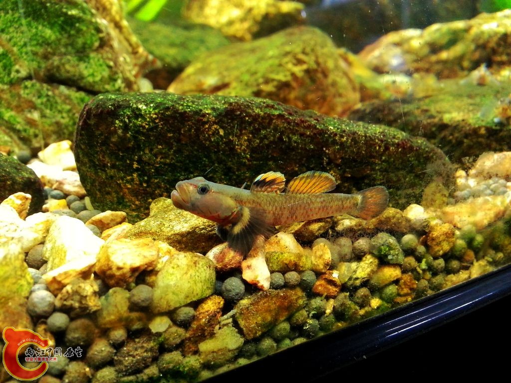 20140924_195854.jpg