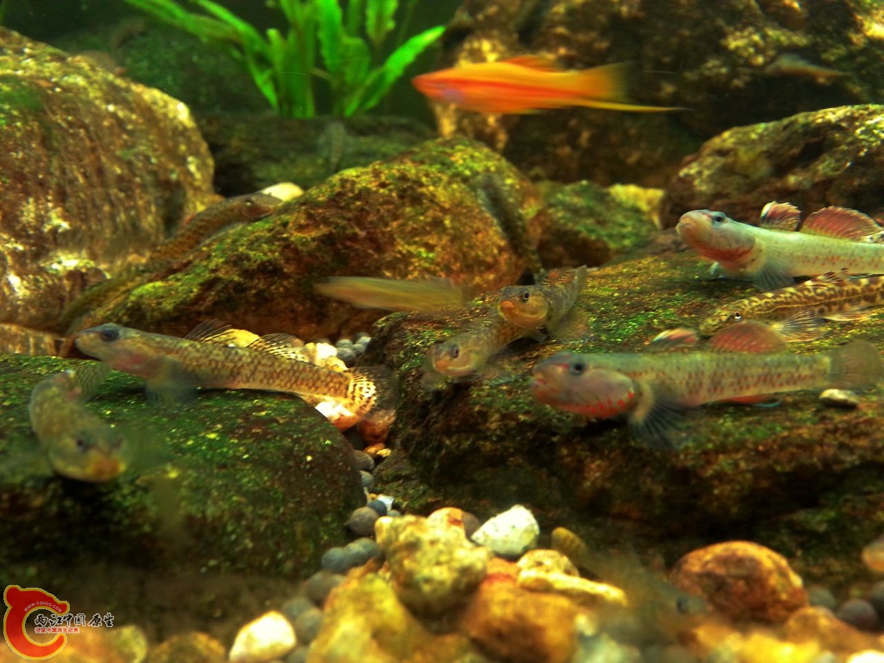 20141005_230215.jpg