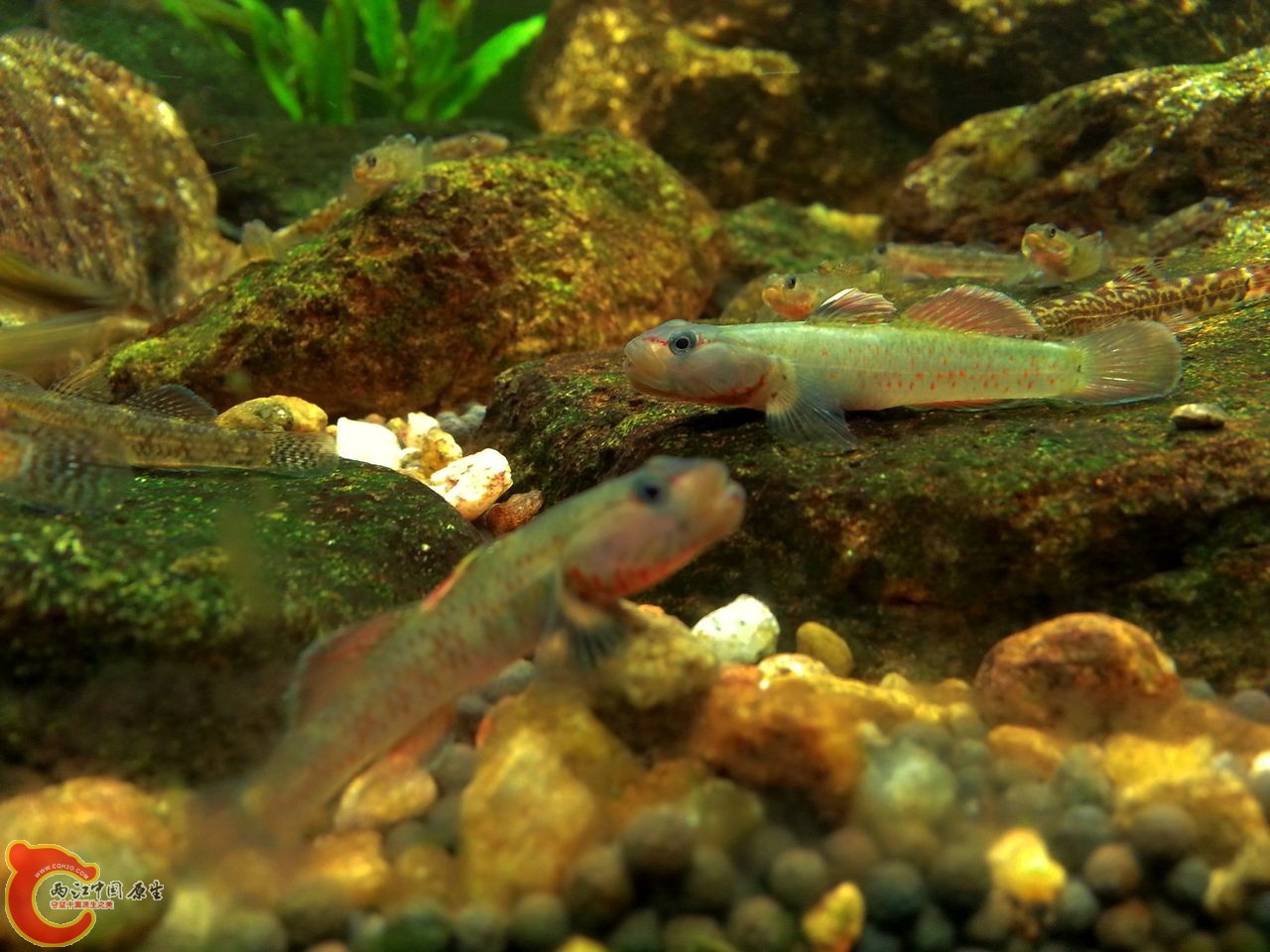 20141005_230237.jpg