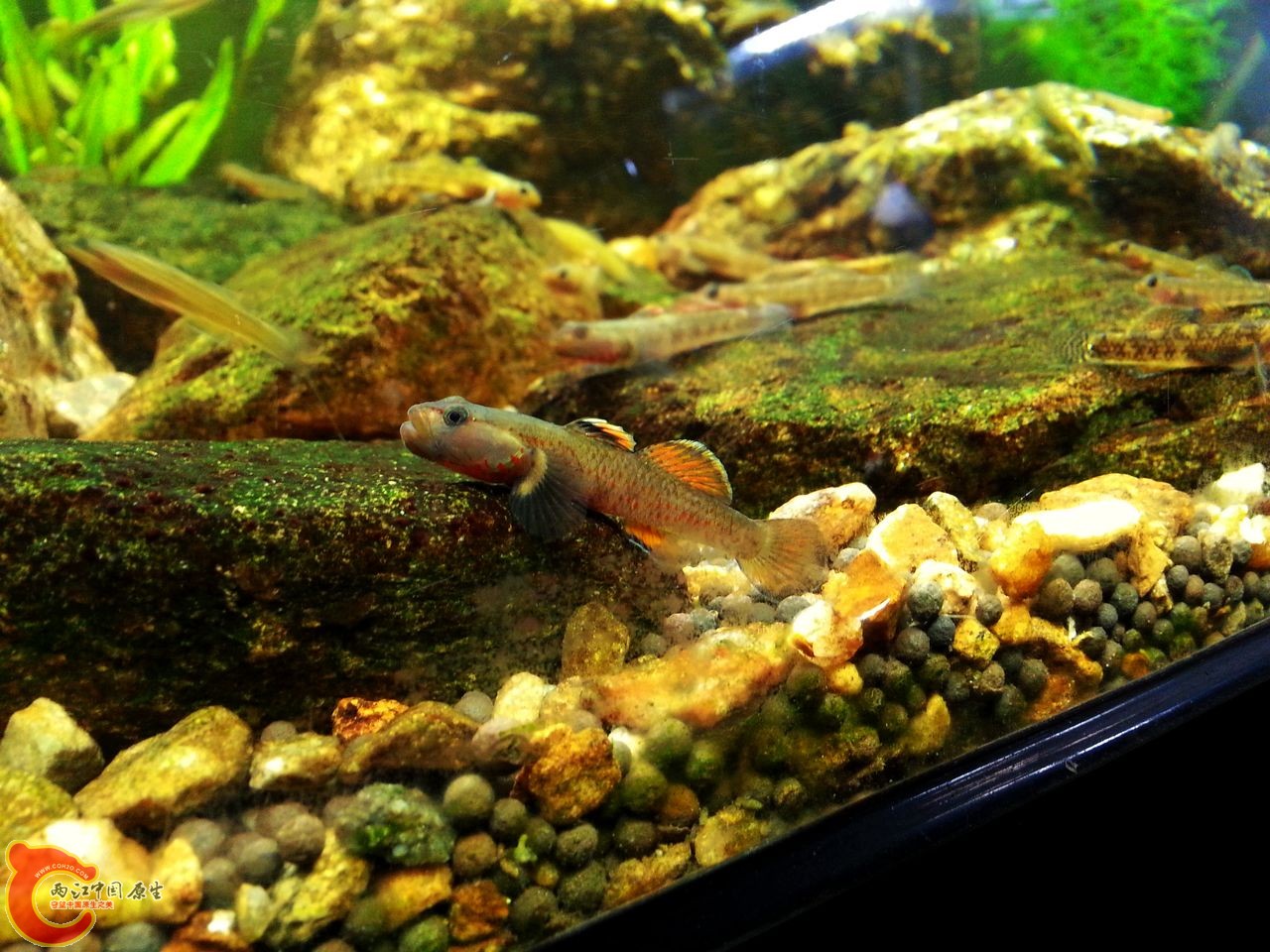 20140924_195907.jpg