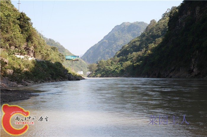 照片 270.jpg