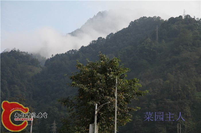 照片 199.jpg