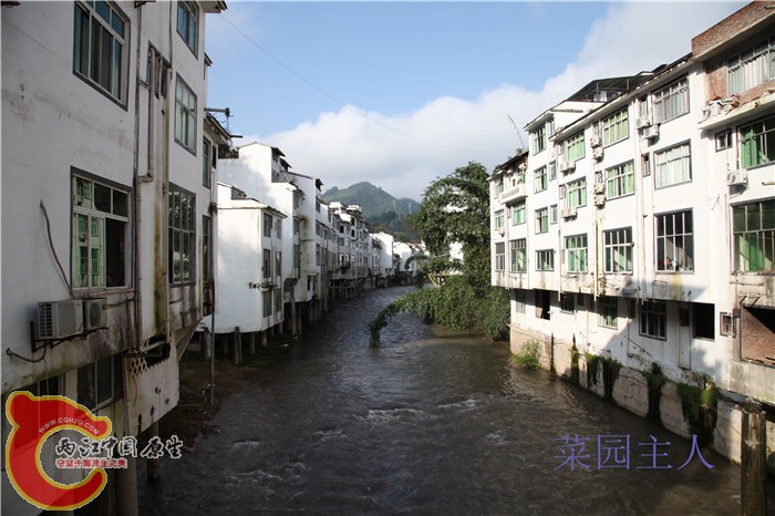 照片 194.jpg