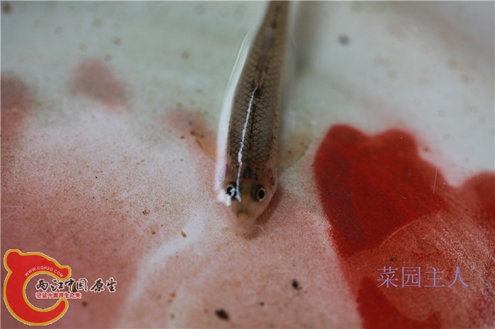 照片 321.jpg