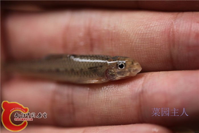 照片 318.jpg