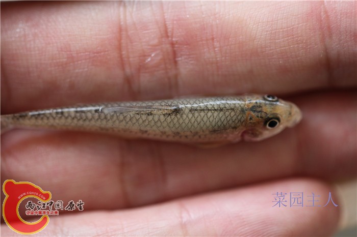 照片 317.jpg