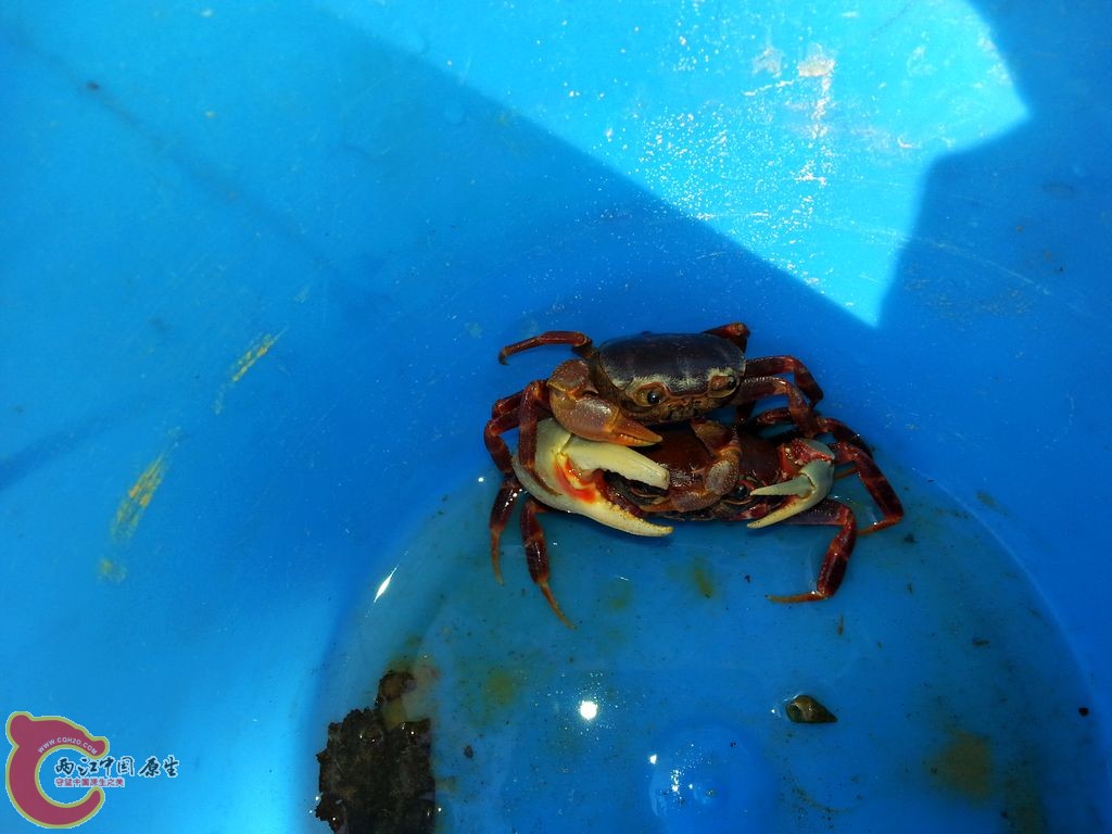 20141012_150247.jpg