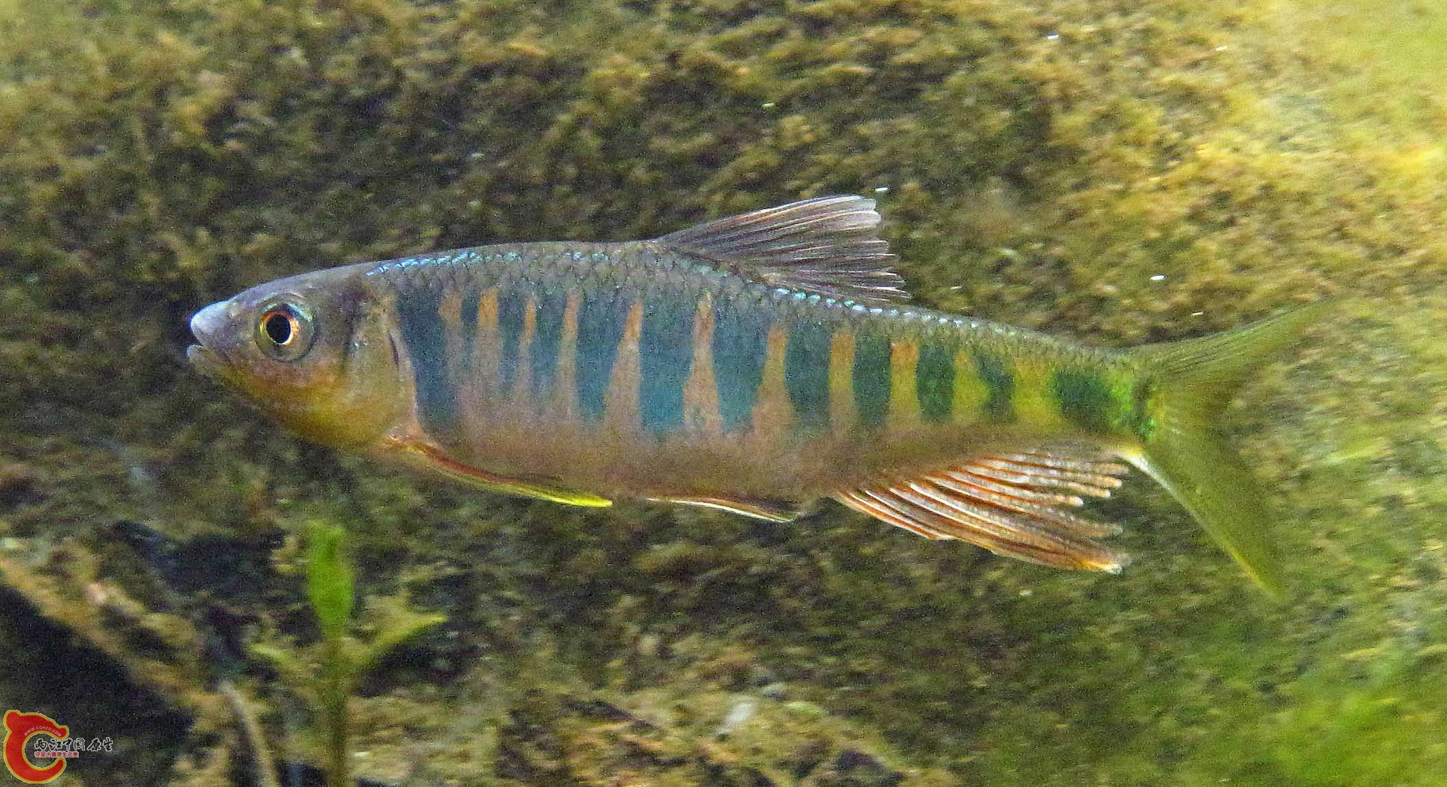 IMG_9494 1.jpg