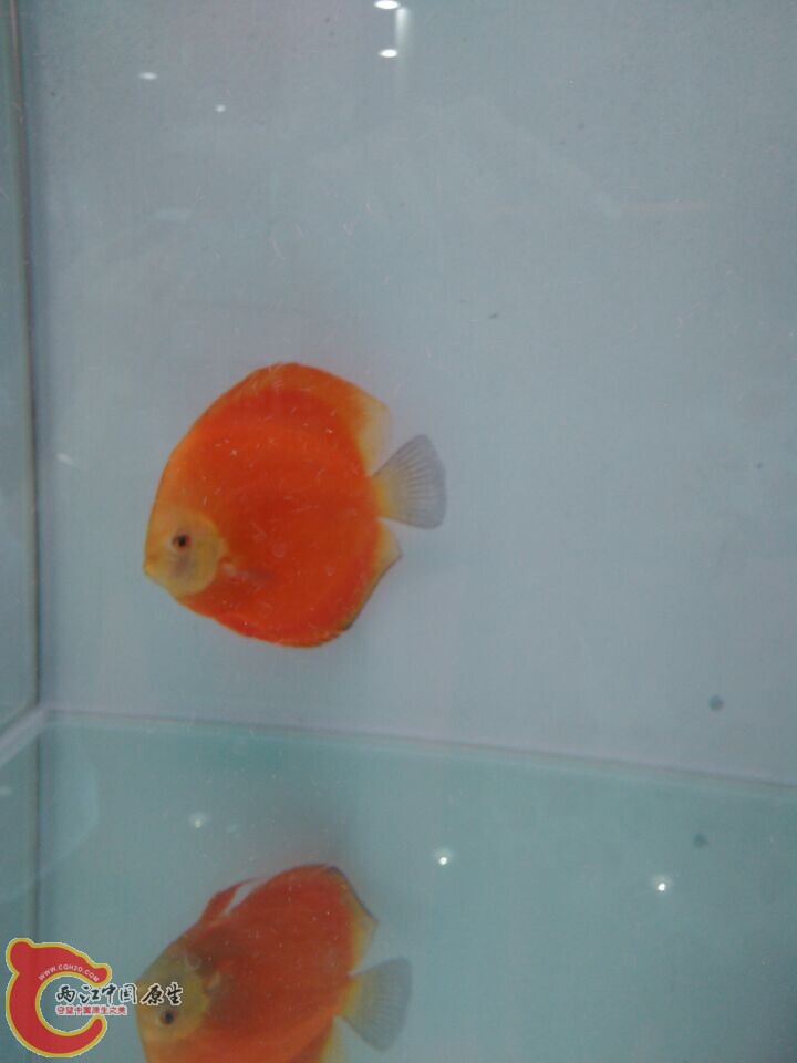 QQ图片20141014102456.jpg