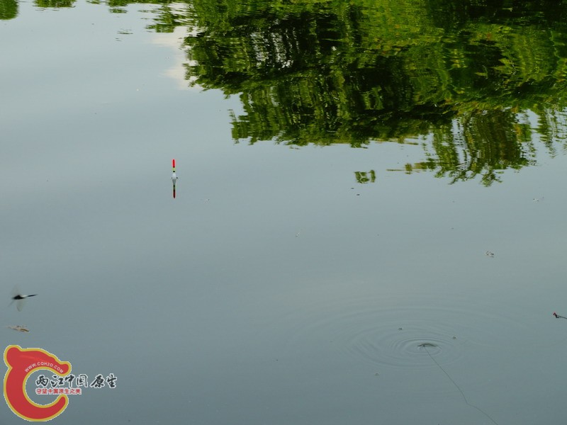 DSC00957.jpg